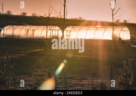 greenhouses with sunlight in winter time Stock Photo