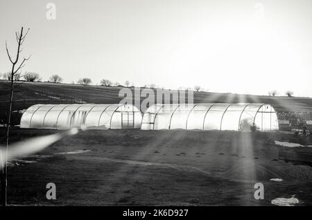 greenhouses with sunlight in winter time Stock Photo