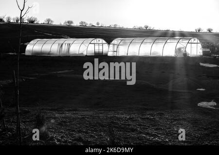 greenhouses with sunlight in winter time Stock Photo