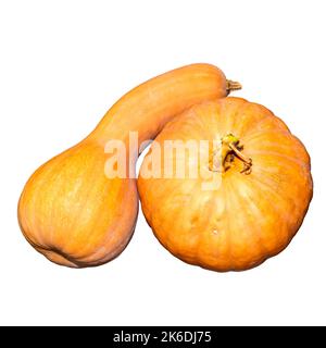 Two ripe orange pumpkins long and round on a white isolated background. Autumn harvest of vegetables. Template, layout. Stock Photo