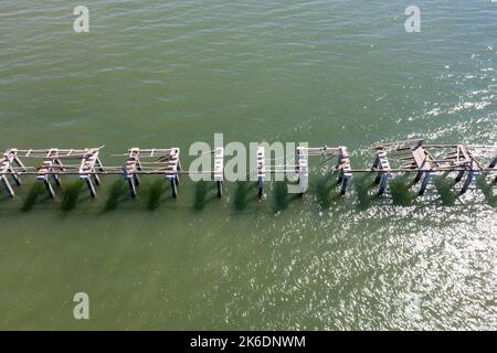 Naples Pier After Hurricane Ian 2022. Heavy Damage And Destruction ...