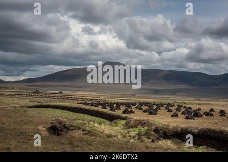 Machine-cut turf is drying in the vast landscape of north-west Ireland. Stock Photo