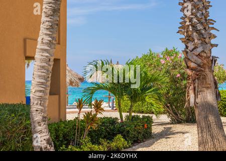 Amazing view of hotel building and green palm trees on white sand beach with turquoise water surface and cloudless blue sky on background. Aruba. Stock Photo