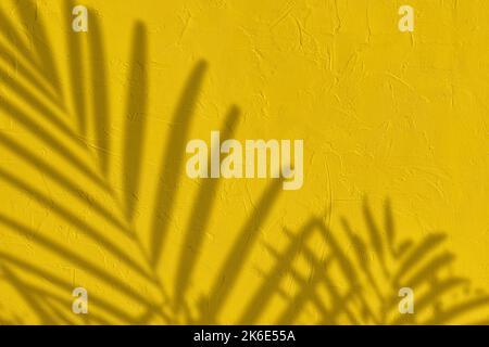 Palm leaves shadow on yellow concrete wall texture background Stock Photo