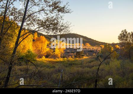 Santa Fe Canyon Preserve, New Mexico, USA, autumn colors, leaves turning yellow in the fall, October Stock Photo