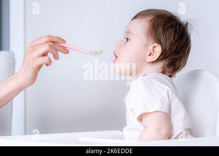 Baby girl eating blend mashed food sitting, on high chair, mother feeding child, hand with spoon for vegetable lunch, baby weaning, first solid food Stock Photo