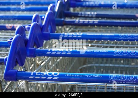 Rows of Tesco trollies lined up outside the supermarket, London, England, United Kingdom, UK Stock Photo