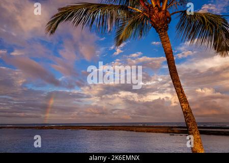 Porto Seguro Beach at sunset with palm tree and rainbow in BAHIA, Brazil Stock Photo