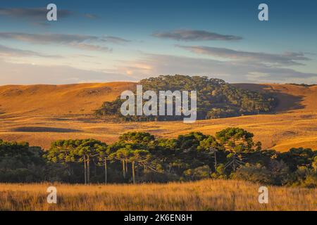 Southern Brazil countryside and meadows landscape at peaceful sunrise Stock Photo