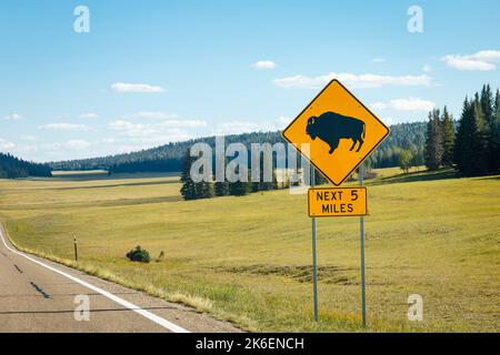 Road and bison sign with Kaibab pines to Grand Canyon North Rim, Arizona, USA Stock Photo