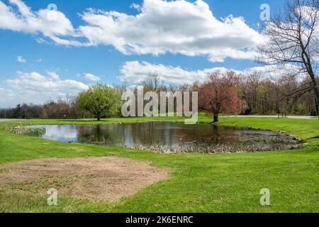 Small pond in the High Point State Park in New Jersey, USA. Stock Photo