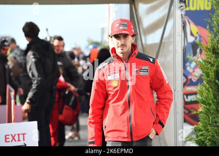 Ducati hotsell paddock jacket