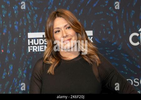 NEW YORK, NEW YORK - OCTOBER 13: Michelle Collins attends the 2022 Hudson River Park Friends Gala at Pier Sixty at Chelsea Piers on October 13, 2022 in New York City. Stock Photo