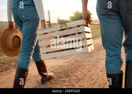 Agriculture is the noblest of all alchemy. two unrecognizable farmers carrying a crate on a farm. Stock Photo