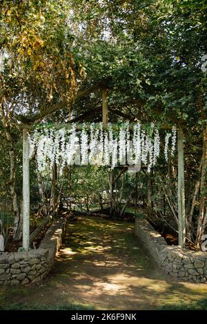 Rustic wedding ceremony area with wooden arch and white wisteria flowers Stock Photo