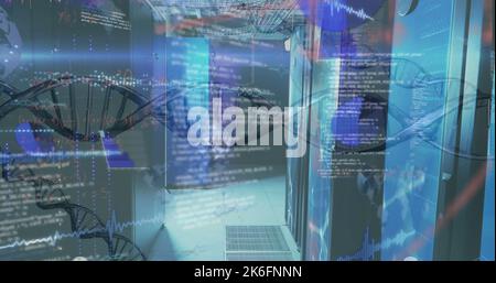 Image of dna strand and data processing over server room Stock Photo