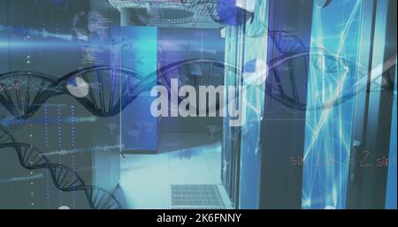 Image of dna strand and data processing over server room Stock Photo