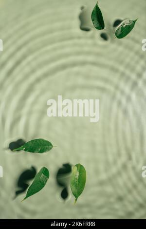 Small leaves of Ficus Benjamin lie on rippled transparent fresh green water gel with flecks, waves, shadow. Concentric expanding circles on surface Stock Photo