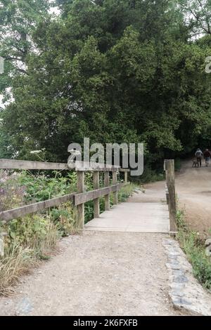 A group of people walking on Trentham Gardens park pathway by green ...