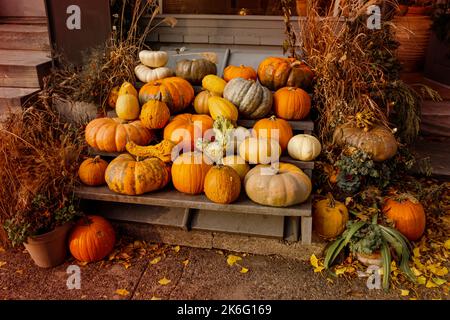 Fall and halloween decoration front porch during october. Stock Photo
