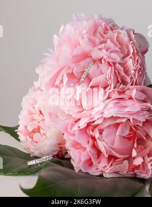 BIG FLUFFY PEONY'S PINK FLOWER EARRINGS DIAMONDS Stock Photo