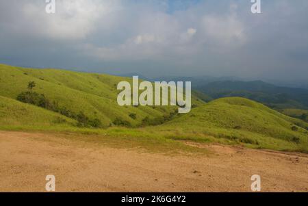 view of the foggy green meadows in the morning at Vagamon , India Stock Photo