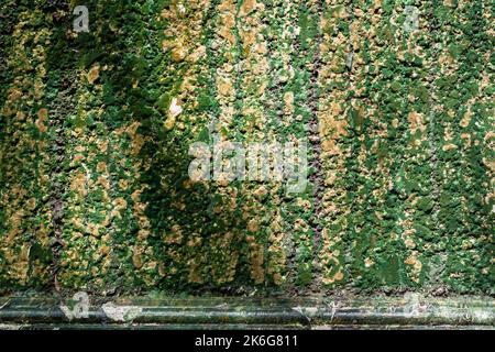Old wall covered with green moss and lichens. Horizontal image. Stock Photo