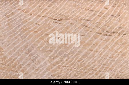 Surface of a light brown natural stone with white lines Stock Photo