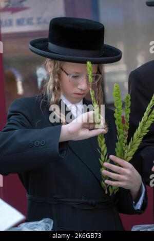 An orthodox jewish boy, apparently a teenager, shops for Hadassim - myrtle tree branches - used in Sukkos celebration rituals. In Brooklyn, New York, Stock Photo