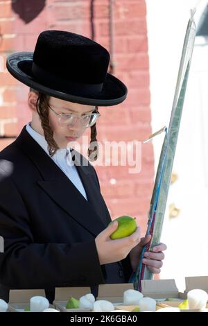 A Hasidic teenagers prepares for Sukkos and shops for an esrog & lulav. On Lee Avenue in Williamsburg, Brooklyn, New York City. Stock Photo