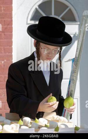 A Hasidic teenagers prepares for Sukkos and shops for an esrog & lulav. On Lee Avenue in Williamsburg, Brooklyn, New York City. Stock Photo