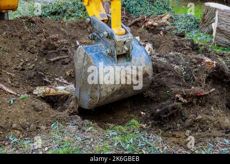 Removal of tree roots stump that was cut down in order to clear land using bulldozer Stock Photo