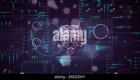 Illustration of digital human brain with circles over circuit board ...