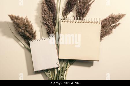 Blank paper, notepad sheets on beige background, top view. Mock up paper with dried pampas grass with trendy shadow and sunlight Stock Photo