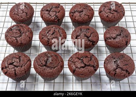 chocolate cupcakes, cooling on wire rack Stock Photo