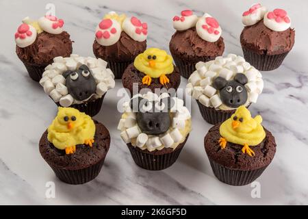 Chocolate Spring cupcakes Stock Photo