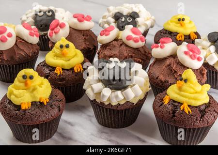 Chocolate Spring cupcake assortment Stock Photo