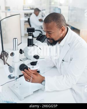 These are ready to undergo a new trial. a mature man using a microscope in a lab. Stock Photo