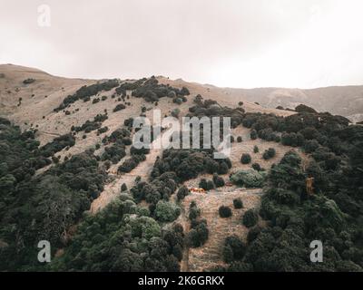 landscape aerial view taken from a drone of the environment surrounding the lonely cabins in the middle of the forest the trees and the impressive Stock Photo