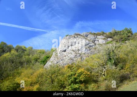 The wooded hillsides and limestone pinnacles  along the Manifold valley trail, echo back some 300 million years when this landscape formed . Stock Photo