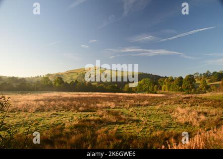 The wooded hillsides and limestone pinnacles  along the Manifold valley trail, echo back some 300 million years when this landscape formed . Stock Photo