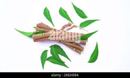 Neem fruit with neem sticks and neem leaf isolated on white background. Azadirachta indica - A branch of neem tree leaves. Natural Medicine. Stock Photo