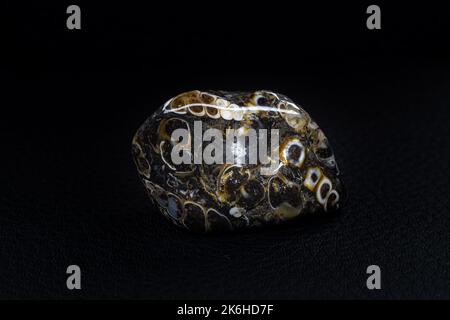 Real tumbled turitella agate stone macro isolated on black leather surface Stock Photo