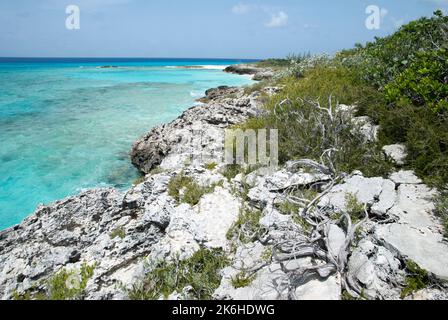 The scenic view of turquoise color Caribbean Sea and rocky coastline with a dry tree on uninhabited island Half Moon Cay (Bahamas). Stock Photo