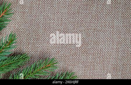 Spruce branch on jute fabric Stock Photo