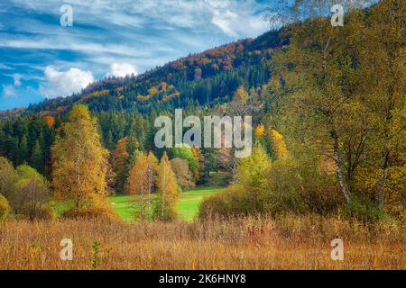 DE - BAVARIA: Autumn scene in the Attenloher Filze (Moor) near Bad Toelz, Oberbayern Stock Photo