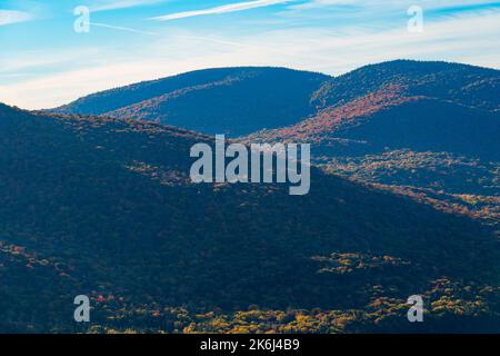 Beautiful forest with colorful autumn leaves in national park Stock Photo