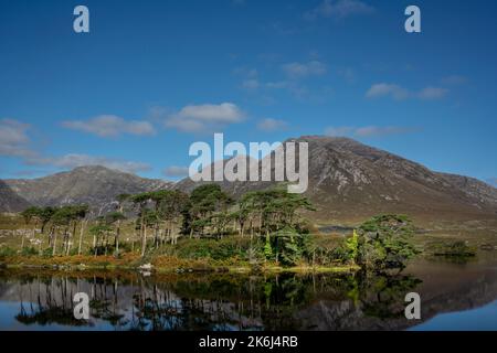 Pine Island, a beautiful photogenic spot in the Irish region of Connemara, Ireland Stock Photo