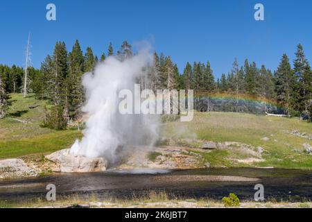 Riverside Geyser in Yellowstone National Park erupts with a full rainbow Stock Photo