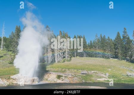 Riverside Geyser in Yellowstone National Park erupts with a full rainbow Stock Photo